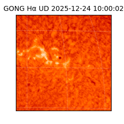 gong - 2025-12-24T10:00:02