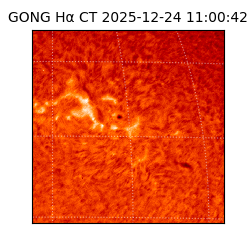 gong - 2025-12-24T11:00:42