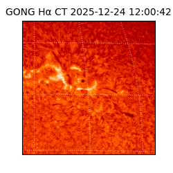 gong - 2025-12-24T12:00:42