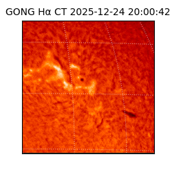 gong - 2025-12-24T20:00:42