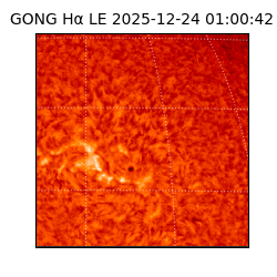 gong - 2025-12-24T01:00:42