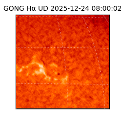 gong - 2025-12-24T08:00:02