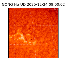 gong - 2025-12-24T09:00:02