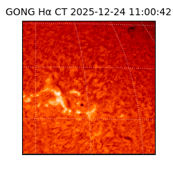 gong - 2025-12-24T11:00:42