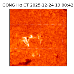 gong - 2025-12-24T19:00:42