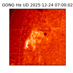 gong - 2025-12-24T07:00:02