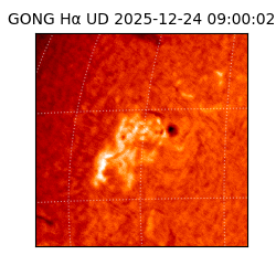 gong - 2025-12-24T09:00:02