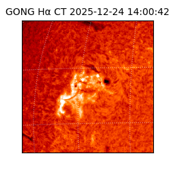 gong - 2025-12-24T14:00:42