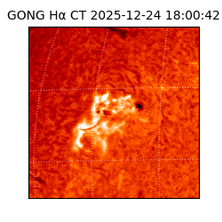 gong - 2025-12-24T18:00:42