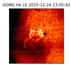 gong - 2025-12-24T23:05:42