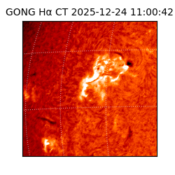 gong - 2025-12-24T11:00:42