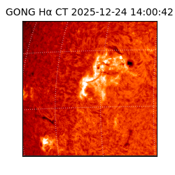 gong - 2025-12-24T14:00:42