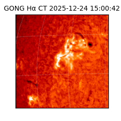 gong - 2025-12-24T15:00:42