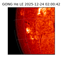 gong - 2025-12-24T02:00:42
