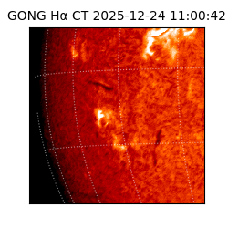 gong - 2025-12-24T11:00:42