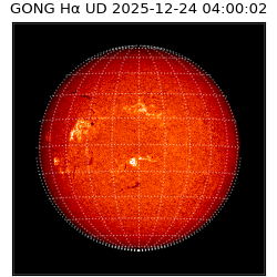 gong - 2025-12-24T04:00:02