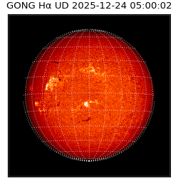 gong - 2025-12-24T05:00:02
