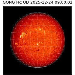 gong - 2025-12-24T09:00:02
