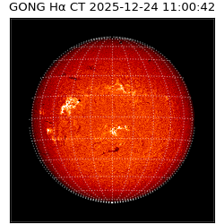 gong - 2025-12-24T11:00:42