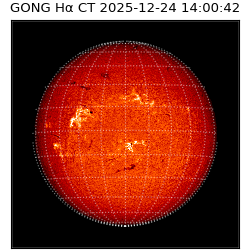gong - 2025-12-24T14:00:42