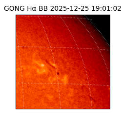 gong - 2025-12-25T19:01:02