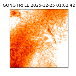 gong - 2025-12-25T01:02:42