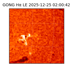 gong - 2025-12-25T02:00:42