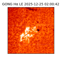 gong - 2025-12-25T02:00:42