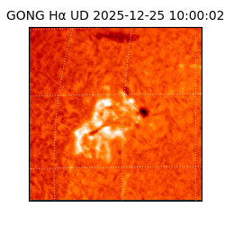gong - 2025-12-25T10:00:02