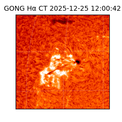 gong - 2025-12-25T12:00:42