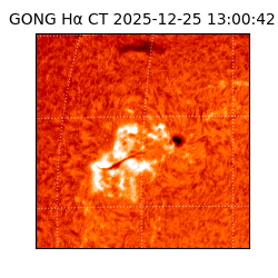 gong - 2025-12-25T13:00:42