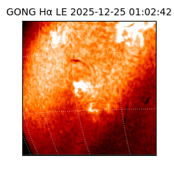 gong - 2025-12-25T01:02:42
