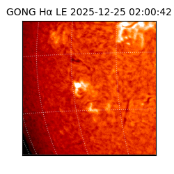 gong - 2025-12-25T02:00:42