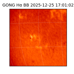 gong - 2025-12-25T17:01:02