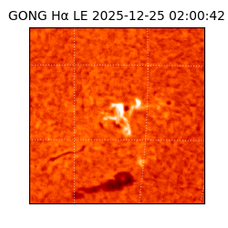 gong - 2025-12-25T02:00:42