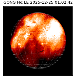 gong - 2025-12-25T01:02:42