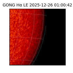 gong - 2025-12-26T01:00:42
