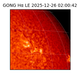 gong - 2025-12-26T02:00:42