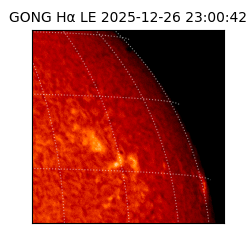 gong - 2025-12-26T23:00:42