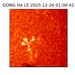 gong - 2025-12-26T01:00:42