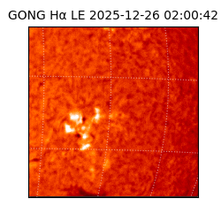 gong - 2025-12-26T02:00:42