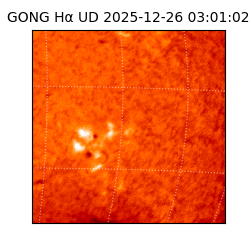 gong - 2025-12-26T03:01:02