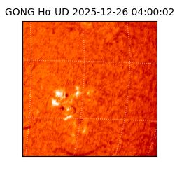 gong - 2025-12-26T04:00:02