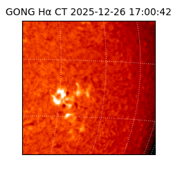 gong - 2025-12-26T17:00:42