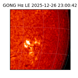 gong - 2025-12-26T23:00:42