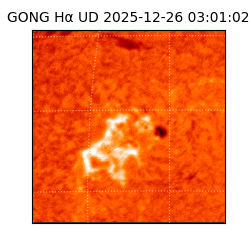 gong - 2025-12-26T03:01:02