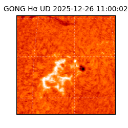 gong - 2025-12-26T11:00:02