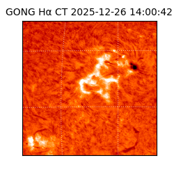 gong - 2025-12-26T14:00:42