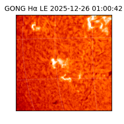 gong - 2025-12-26T01:00:42