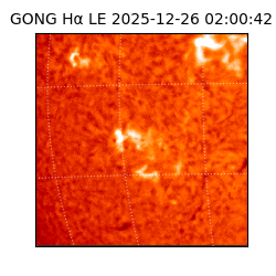 gong - 2025-12-26T02:00:42